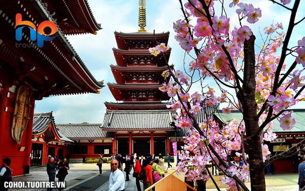 Du lịch Nhật Bản - Mùa đẹp nhất trong năm - 07 ngày