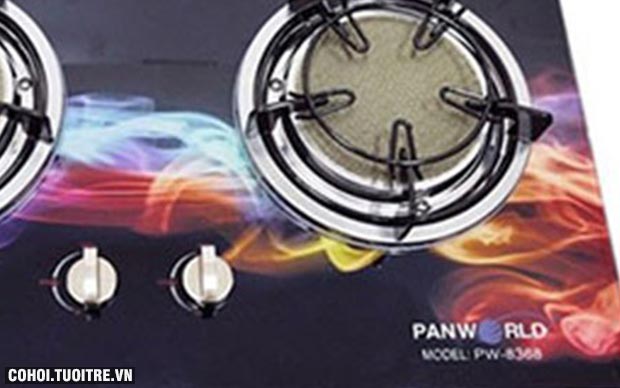 Bếp gas âm hồng ngoại Panworld PW 8368 FC