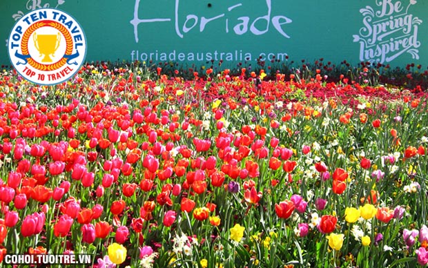 Tour Úc với lễ hội hoa Floriade, giá 28,9 triệu