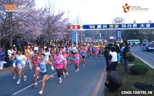 Giải Marathon Hoa Anh Đào Gyeongju 2016