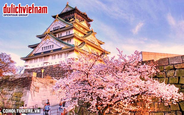 Tour mùa hoa anh đào Nhật Bản 6 ngày