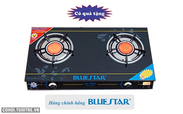 Giá bếp gas hồng ngoại Bluestar khuyến mãi tốt 2016 