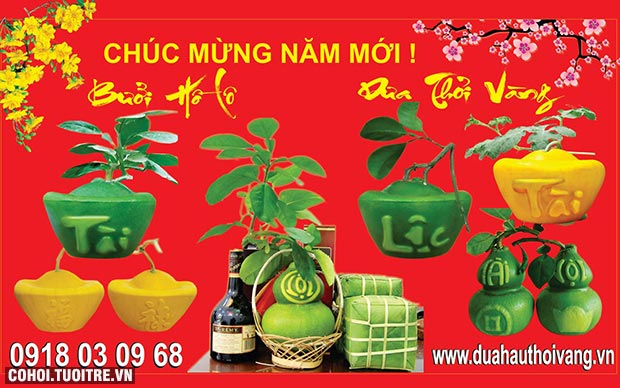 Độc đáo với dưa hấu thỏi vàng chữ Việt