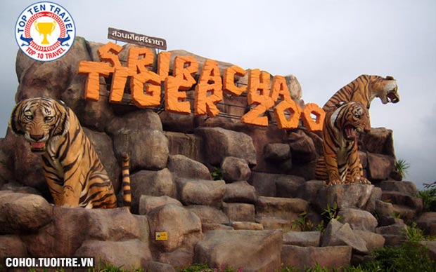 Vườn thú hoang dã Siracha Tiger Zoo