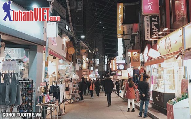 Tour Hàn Quốc 5 ngày giá rẻ, cam kết 100% đậu visa