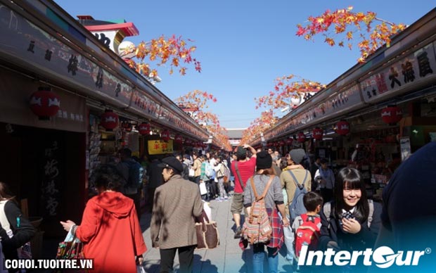 Du lịch Nhật Bản mùa thu lá đỏ chỉ 21,9 triệu
