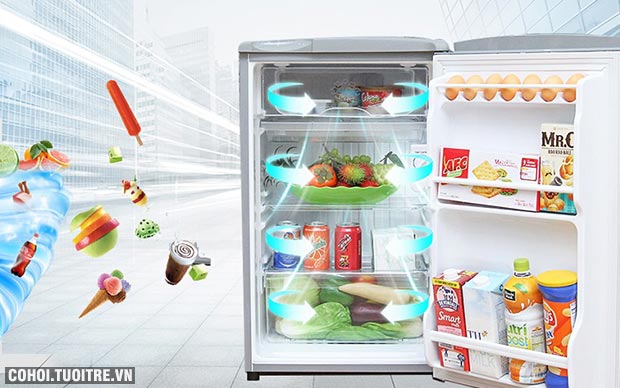 Tủ lạnh Aqua AQR-95AR