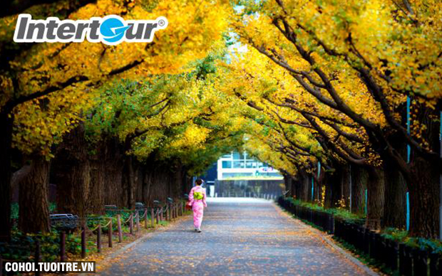 Tour Nhật Bản mùa thu quyến rũ, giá tốt