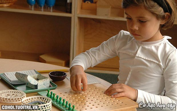 Khóa nhập môn phương pháp giáo dục Montessori (AMI)