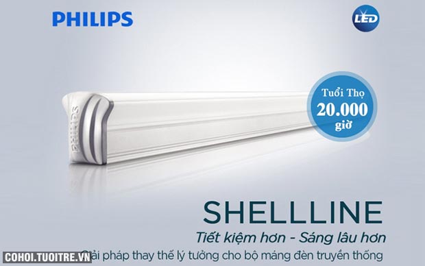 Đèn tường LED Philips Shellline 31172 20W 6500K (ánh sáng trắng)