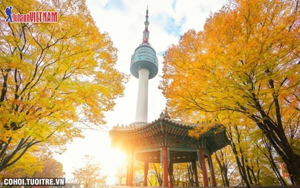 Tour Hàn Quốc mùa lá đỏ bay 5 sao