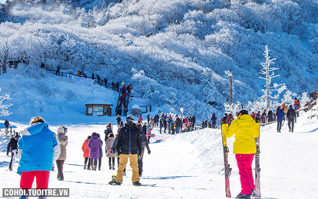 Trải nghiệm trượt tuyết khám phá mùa đông xứ Hàn - Ảnh 1
