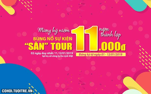 Du Lịch Việt dành tặng 1.100 vé dịch vụ tour 11.000 đồng - Ảnh 1
