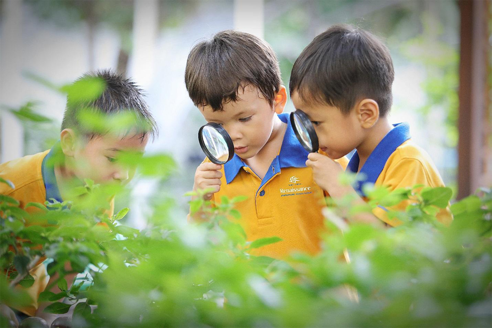 Dạy con tư duy sáng tạo hay rèn vào khuôn khổ - Ảnh 3