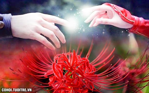 Cùng Du Lịch Việt vi vu Nhật Bản ngắm hoa bỉ ngạn - Ảnh 1