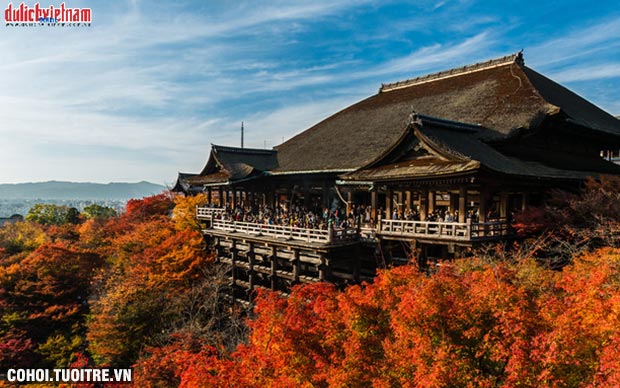 Tour Nhật Bản mùa lá đỏ - ưu đãi vàng từ 19,9 triệu đồng - Ảnh 3
