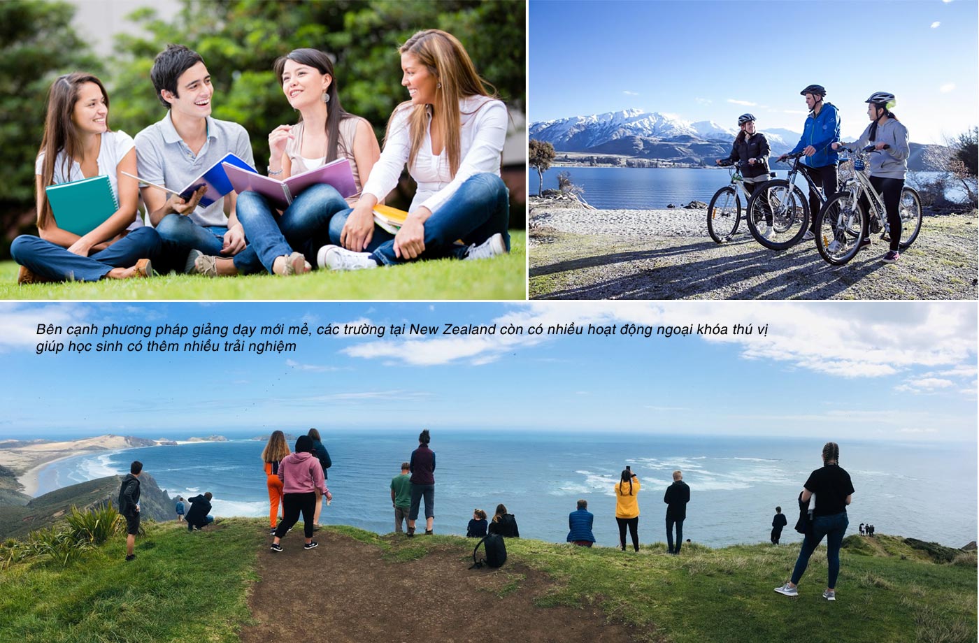3 lý do học sinh trung học New Zealand tự tin thẳng tiến đại học - Ảnh 7