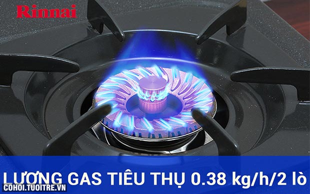 Xả kho bếp gas Rinnai 7 tấc RV-375GN giá từ 595.000đ - Ảnh 5