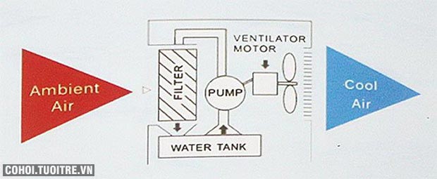 Xả hàng máy làm mát Senkio giá sốc 1,59 triệu - Ảnh 8