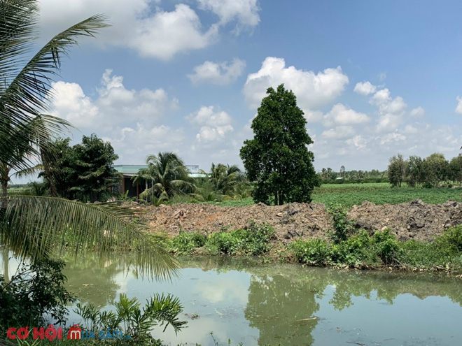 Cần sang đất mặt tiền kênh T1 ở huyện Thủ Thừa, Long An - Ảnh 1