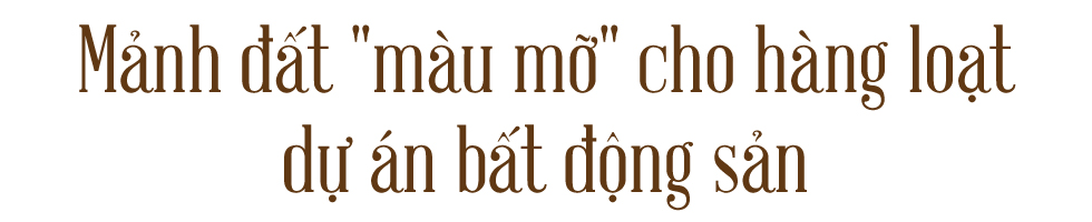 Tiềm năng bất động sản tại TP.Thủ Đức giai đoạn 'bình thường mới' - Ảnh 3