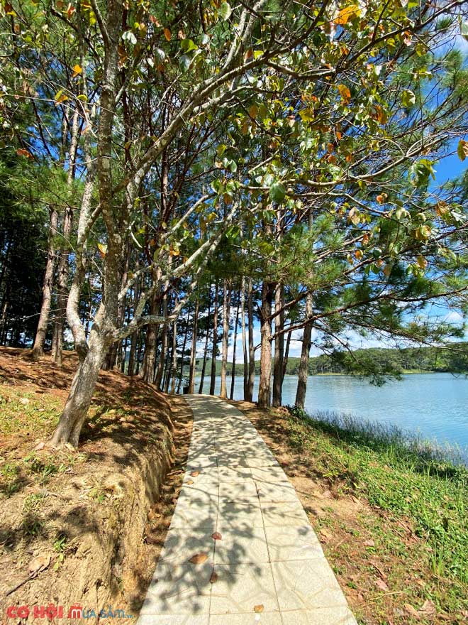 Dalat Edensee - Lake Resort & Spa - Thiên đường nghỉ dưỡng ven hồ Tuyền Lâm - Ảnh 5