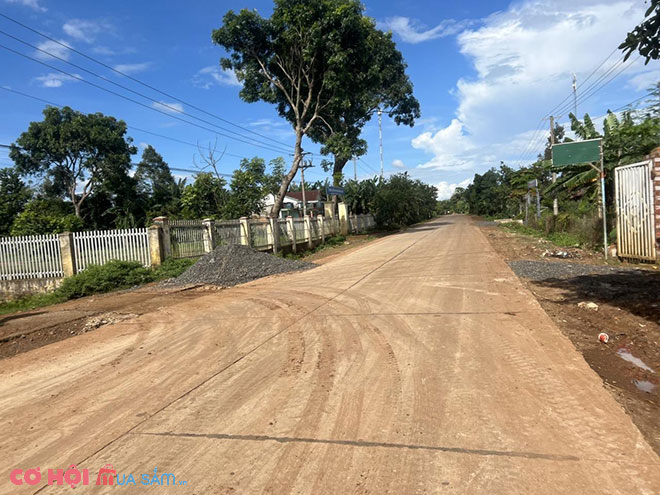 Sang đất huyện Cư Kuin, Đắk Lắk - Ảnh 2