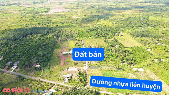Chỉ hơn 200tr sở hữu mảnh đất Cư Mgar - Đắk Lắk - Ảnh 4