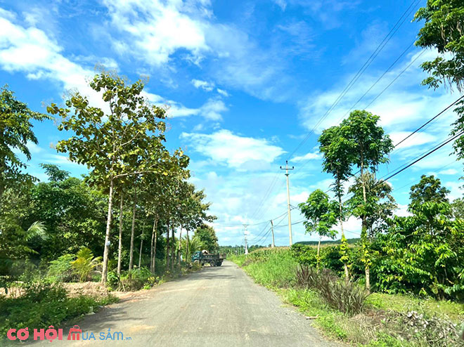 Chỉ hơn 200tr sở hữu mảnh đất Cư Mgar - Đắk Lắk - Ảnh 6