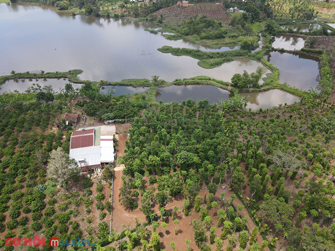 Sang đất view hồ huyện Cư Kuin, Đắk Lắk - Ảnh 2