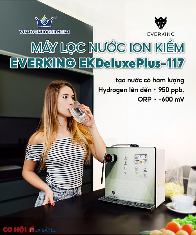 Top 3 máy lọc nước điện giải ion kiềm nên mua năm 2024 - Ảnh 4