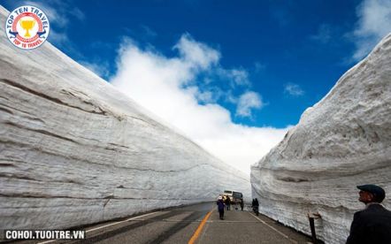 Tour du lịch Nhật Bản: Khám phá bức tường tuyết