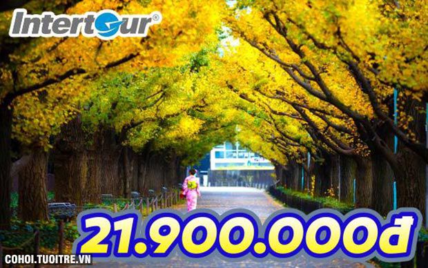 Trải nghiệm mùa thu lá đỏ Nhật Bản chỉ 21,9 triệu
