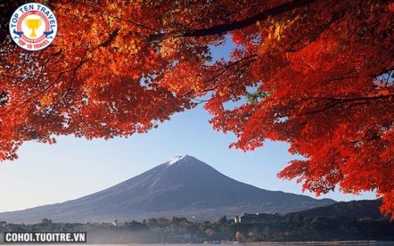 Tour du lịch Nhật Bản - thưởng ngoạn mùa lá đỏ