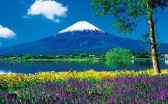 Ưu đãi 3 triệu đồng tour du lịch Nhật Bản mùa hè