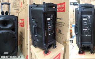 Loa vali kéo di động bluetooth karaoke Temeisheng LA-015