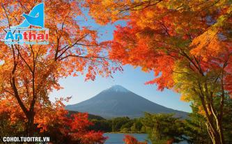 Khám phá Nhật Bản mùa lá đỏ 6N5Đ