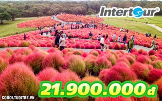 Du lịch Nhật Bản mùa thu lá đỏ chỉ 21,9 triệu