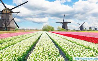 Tour xuân 5 nước - lễ hội hoa xuân tulip Hà Lan