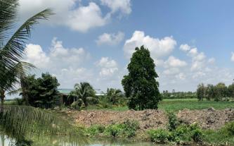 Cần sang đất mặt tiền kênh T1 ở huyện Thủ Thừa, Long An