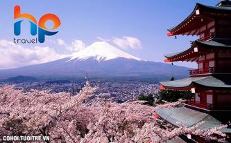 Du lịch Nhật Bản - Mùa đẹp nhất trong năm - 07 ngày