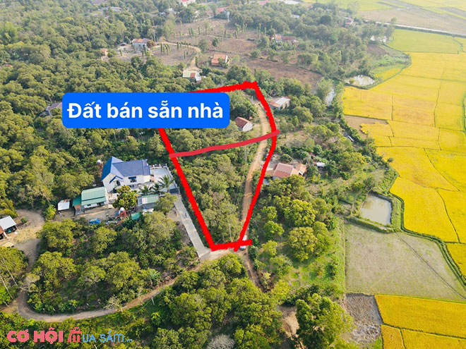 Sang đất huyện Cư Kuin, Đắk Lắk