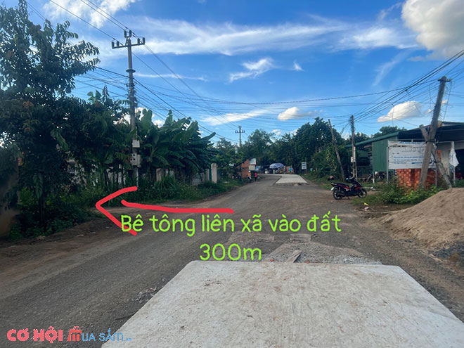 Sang đất huyện Cư Kuin, Đắk Lắk
