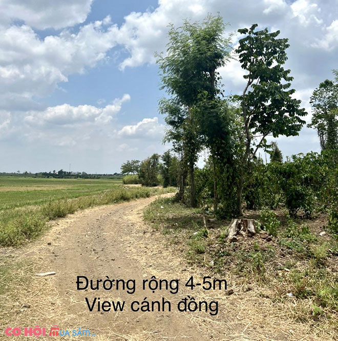 Sang nhanh 9 lô đất đẹp tại Ea M′nang - Cư M′gar, Đắk Lắk