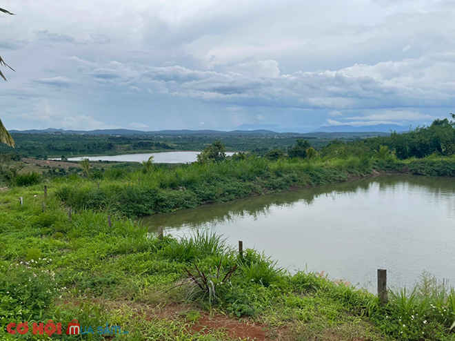 Cần sang đất xã Tam Giang, huyện Krông Năng, Đắk Lắk 