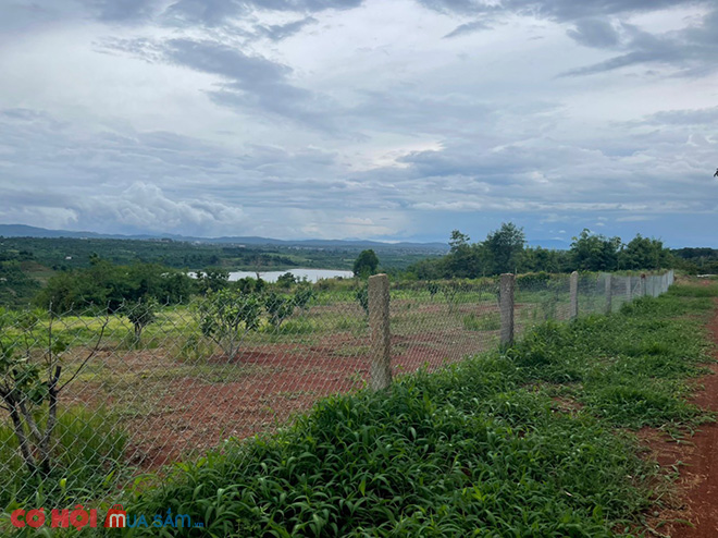 Cần sang đất xã Tam Giang, huyện Krông Năng, Đắk Lắk 
