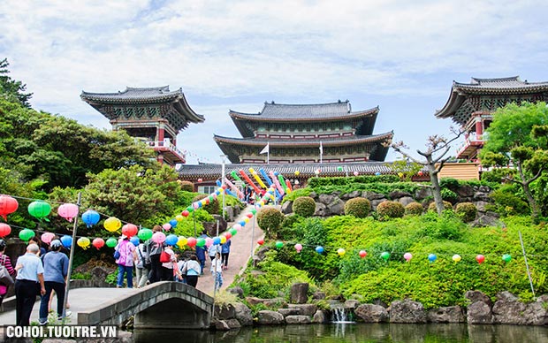 Hai điểm du lịch hè Hàn Quốc say lòng du khách Việt