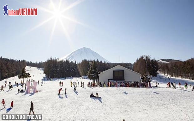 Tour Nhật Bản mùa tuyết trắng chỉ từ 20,9 triệu đồng