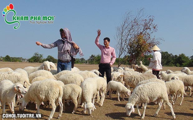 Tour Đồi cừu, Vũng Tàu, đảo Long Sơn